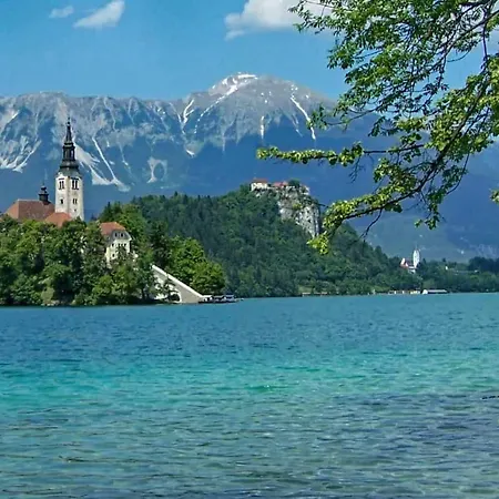 Guta Apartmán Bled